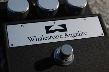 Whalestone Angelite, closeup